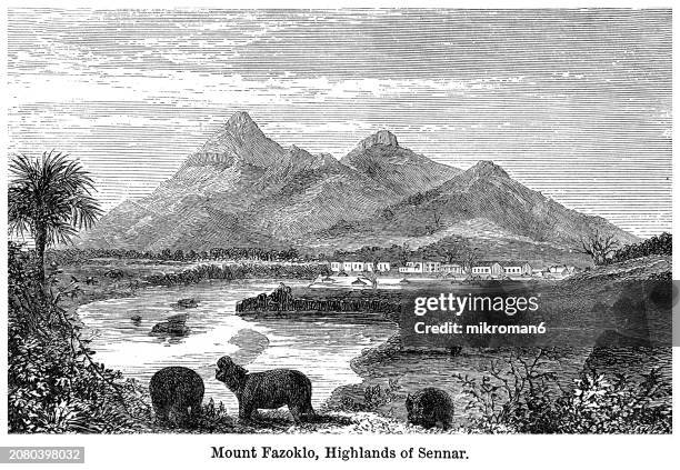 old engraved illustration of mount fazoklo with pasha's palace and village of famaka - highlands of sennar, sudan - traditionally australian stock pictures, royalty-free photos & images