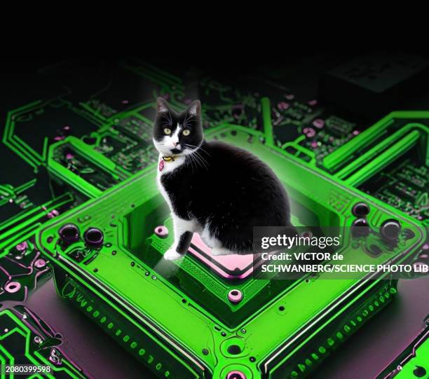 Simulation Theory Conceptual Illustration High-Res Vector Graphic ...