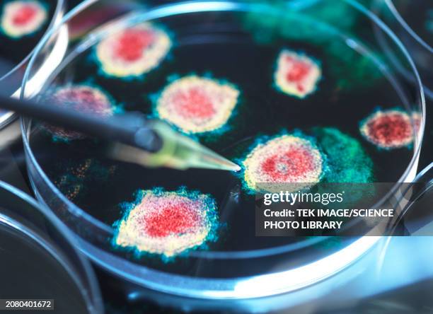 virus research, conceptual image - infectious disease stock pictures, royalty-free photos & images