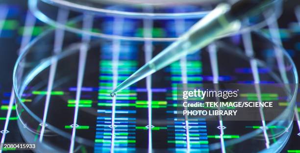 genomics, conceptual image - genomics stock pictures, royalty-free photos & images