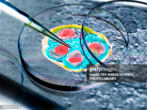 malaria research, conceptual image - malaria stock pictures, royalty-free photos & images