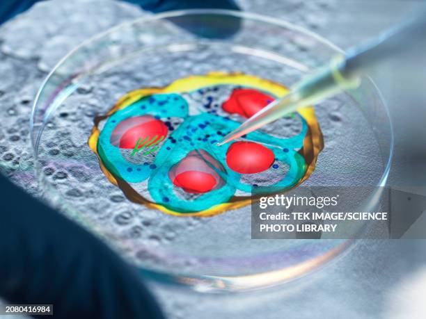 malaria research, conceptual image - parasitic stock pictures, royalty-free photos & images