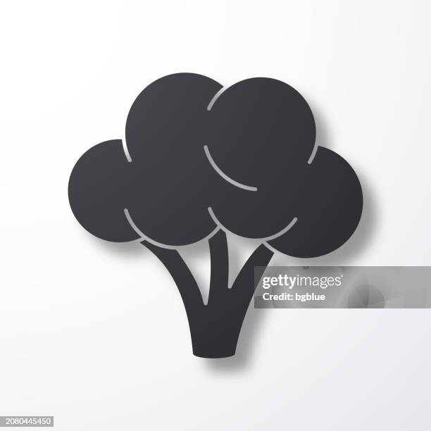 broccoli. icon with shadow on white background - cabbage isolated stock illustrations