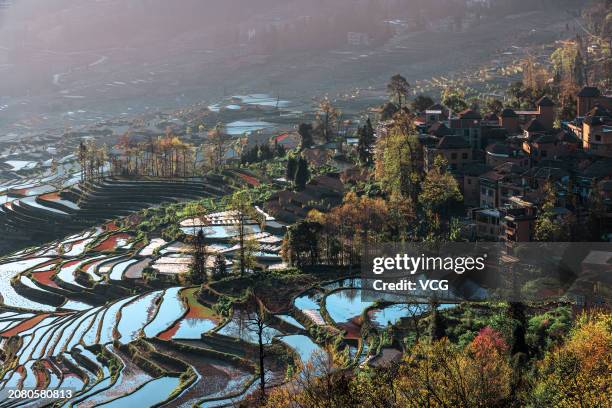 Aerial view of the terraced fields on March 6, 2024 in Yuanyang County, Honghe Hani and Yi Autonomous Prefecture, Yunnan Province of China.