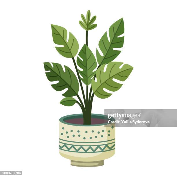Poster Monstera plant in a pot, Yuliia Sydorova | Wall Art | 3+1 FREE |  Europosters