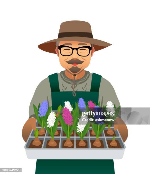 gardener - hyacinth stock illustrations