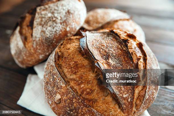 freshly baked homemade artisan sourdough whole wheat bread - round loaf stock pictures, royalty-free photos & images