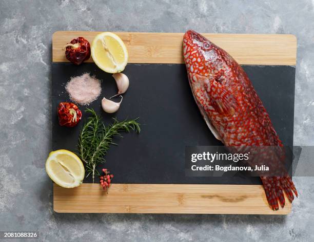 Ballan Rass 34 Ballan Wrasse Stock Photos, High-Res Pictures, and Images - Getty Images