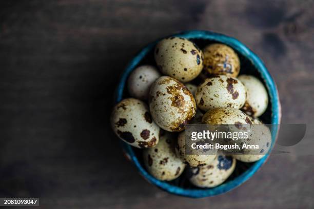 common quail eggs in a bowl - common quail stockfoto's en -beelden