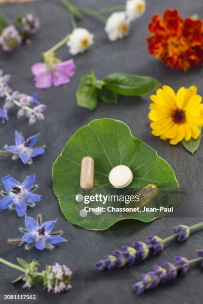 various healing flowers, herbs and vitamin tablets - camomille stock pictures, royalty-free photos & images