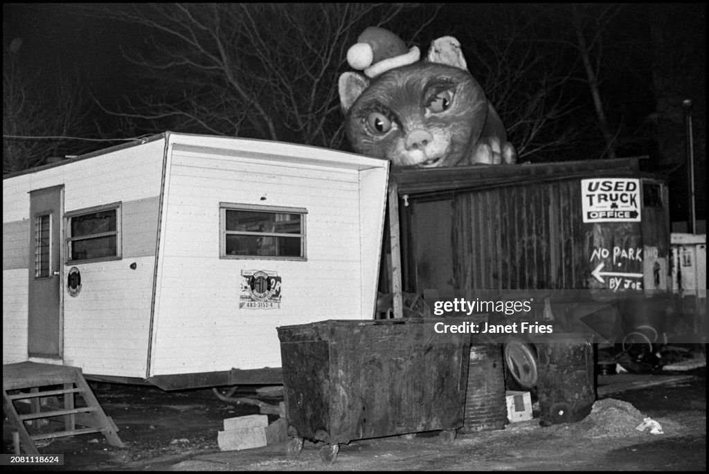 Santa Cat At Used Truck Dealership