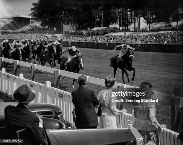 Spectators watching jockeys approaching on their horses during the Stewards' Cup race at Goodwood Racecourse, West Sussex, August 2nd 1955.