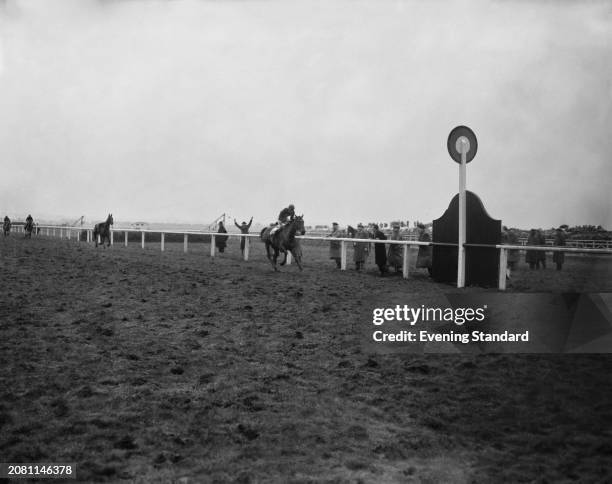 'Quare Times' ridden by jockey Pat Taaffe approaches the finishing post to win the Grand National horse race at Aintree Racecourse, Merseyside, March...