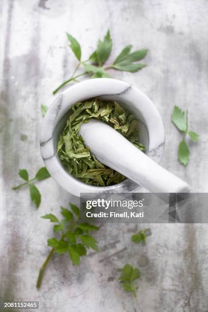 dried lovage in a mortar - mortar and pestle stock pictures, royalty-free photos & images