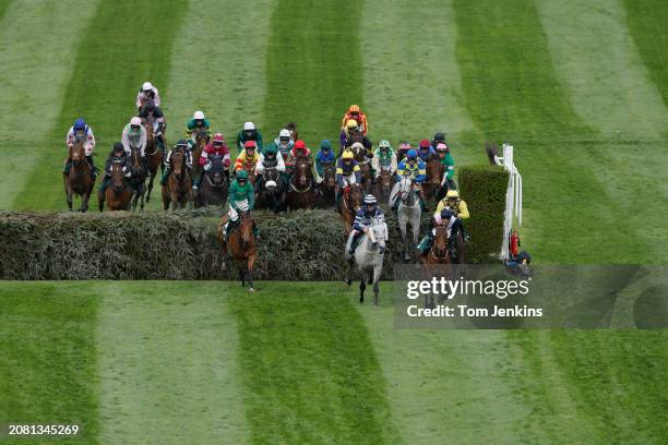 The runners in the Topham Chase jump the Water Jump during racing on day two of the Grand National jump racing festival at Aintree Racecourse on...