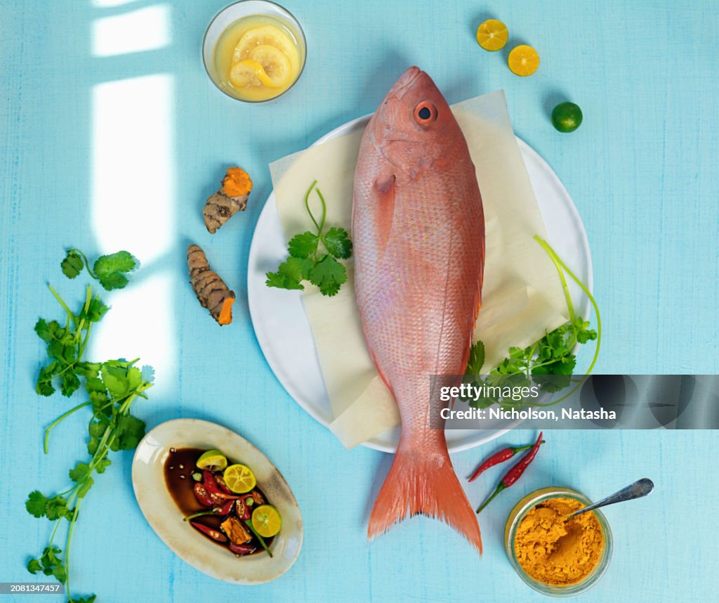 Red Snapper