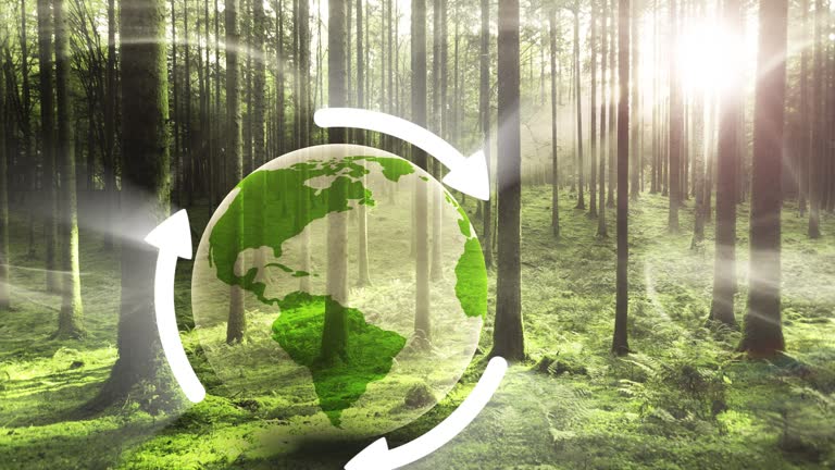 https://media.gettyimages.com/id/2081355342/video/concept-recycle-ecology-woodland-with-3d-earth-planet.jpg?b=1&s=640x640&k=20&c=RsC9P1EhxuwPVe4EpBnQ4Q2ultFGZoM5n7BxqM7uDMs=