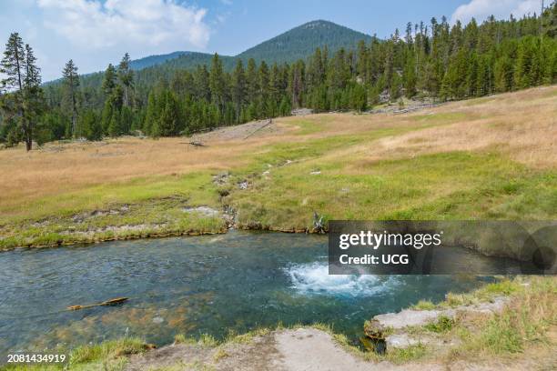 Mineral spring bubbling clear blue water in an open field at Yellowstone National Park in Wyoming.