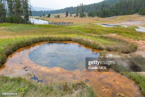 Mineral spring bubbling clear blue water in an open field at Yellowstone National Park in Wyoming.