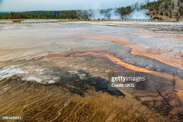 Brown layered stratiform mats at the outer perimeter of the Grand Prismatic Spring in the Midway Geyser Basin of Yellowstone National Park, Wyoming.