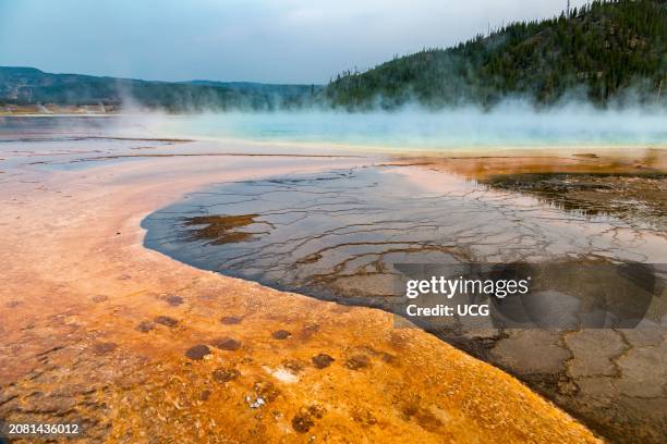 Grand Prismatic Spring in the Midway Geyser Basin of Yellowstone National Park, Wyoming.