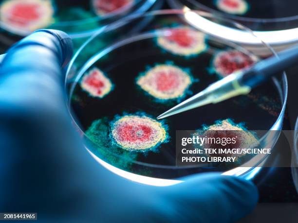 virus research, conceptual image - virus stock-fotos und bilder
