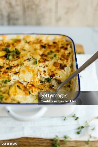 potato and parsnip gratin - aardappelgratin aardappel stockfoto's en -beelden