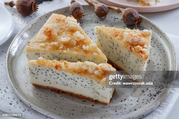 cheesecake with poppy seeds - graine de pavot photos et images de collection