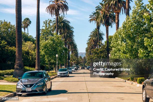 palm trees in los angeles from a street - hollywood california stock pictures, royalty-free photos & images