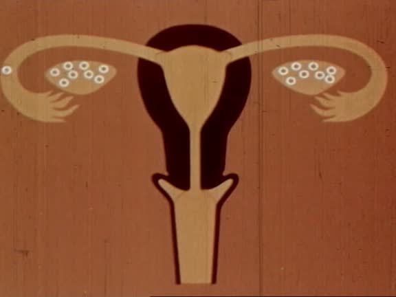 Reproductive Animation 36 Human Reproduction Cartoon Stock Videos, Footage, & 4K Video Clips ...