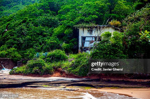 sea and nature. praia da tartaruga, búzios, río de janeiro, brasil - tartaruga stock pictures, royalty-free photos & images