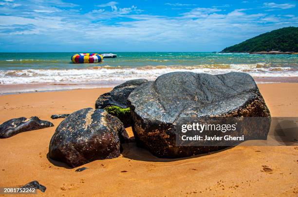 rocks, beach, sea and nature. praia da tartaruga, búzios, río de janeiro, brasil - río de janeiro imagens e fotografias de stock