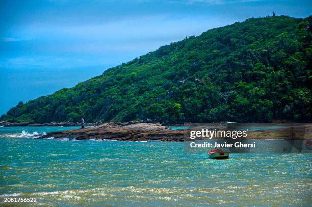 sea and nature. praia da tartaruga, búzios, río de janeiro, brasil - río de janeiro imagens e fotografias de stock