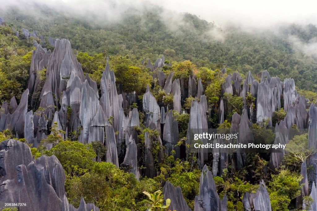 Foggy morning view of the Mulu Pinnacles located in Gunung Mulu National Park in Sarawak, Malaysia