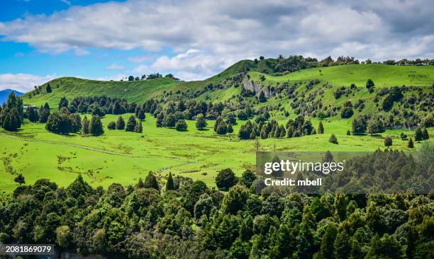 new zealand rolling green landscape - taihape new zealand - manawatu stock pictures, royalty-free photos & images