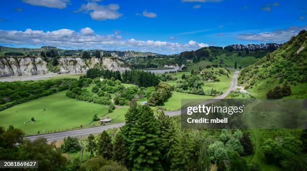 new zealand landscape with whitecliffs with rangitikei river in springtime - ohingaiti new zealand - manawatu stock pictures, royalty-free photos & images