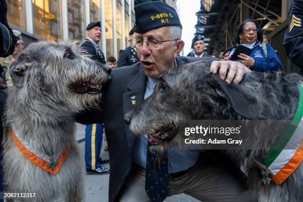 Veteran plays with Irish wolf hounds named Siobhan and Billy before people take part in the 263rd annual St. Patrick's Day parade on March 16, 2024...