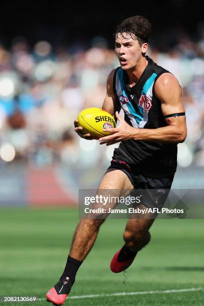 Connor Rozee Signature 1,337 Connor Rozee Photos & High Res Pictures - Getty Images