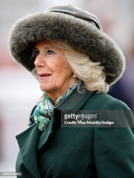 Queen Camilla attends day 2 'Style Wednesday' of the Cheltenham Festival at Cheltenham Racecourse on March 13, 2024 in Cheltenham, England. This year...