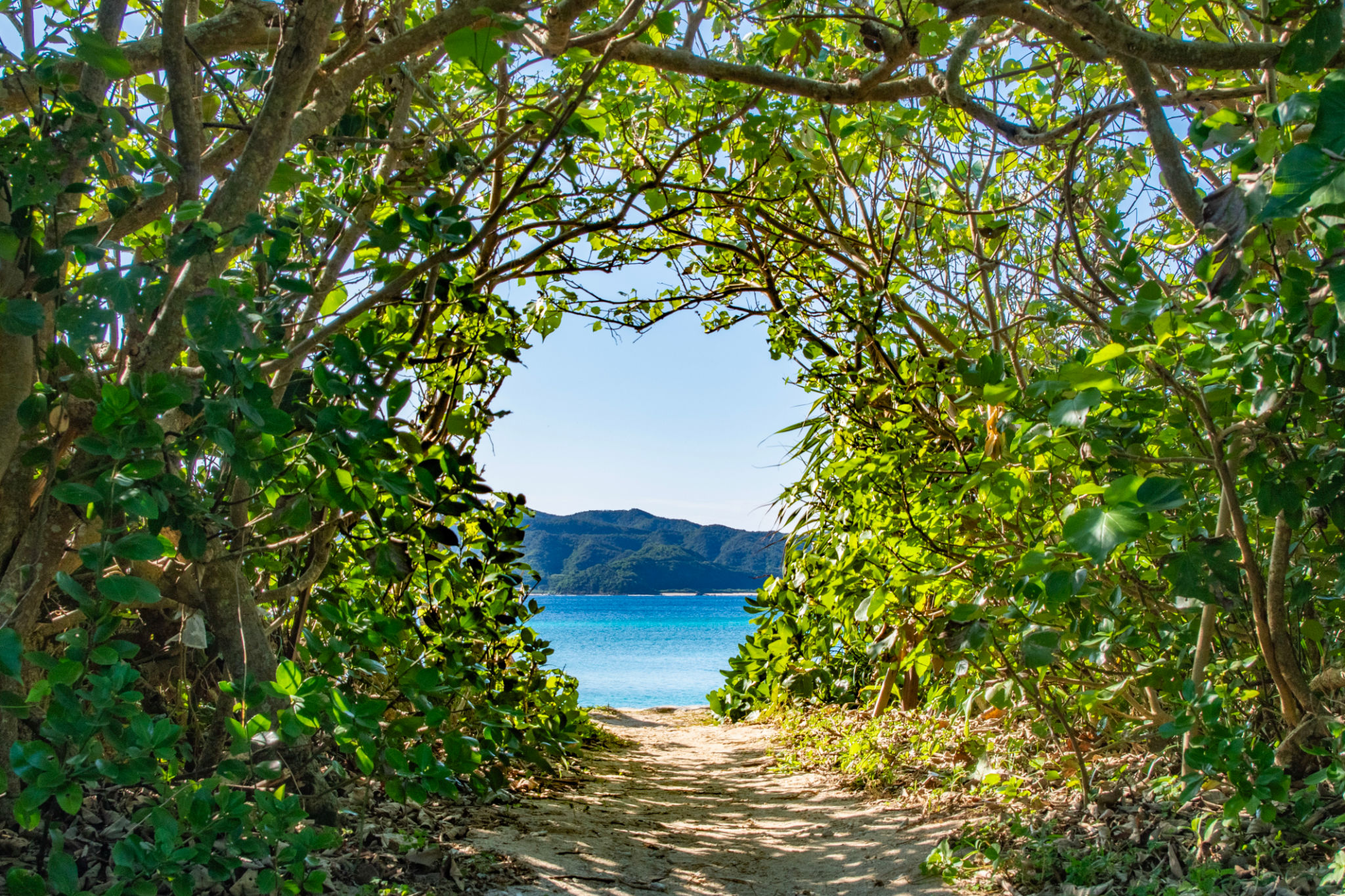 amami island beach