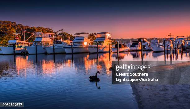 dawn light on a late summer's morning  at the lakes entrance harbour, victoria, australia. - australia jetty stock pictures, royalty-free photos & images