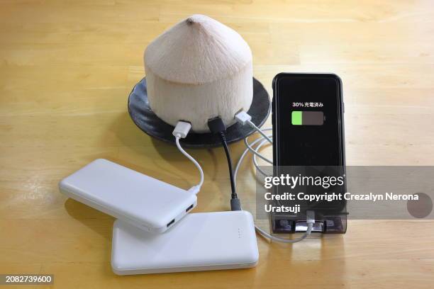 two power banks and mobile phone lightning to usb cable charger and coconuts - kasukabe stock pictures, royalty-free photos & images