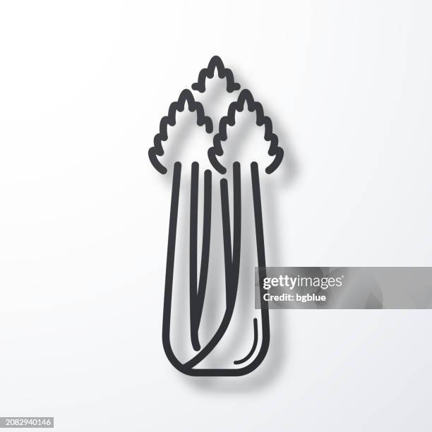 celery. line icon with shadow on white background - celery isolated stock illustrations