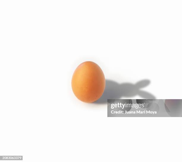 happy easter,
easter greeting card for easter day. - optical illusion stock pictures, royalty-free photos & images