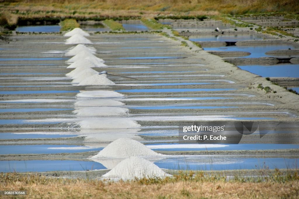 Beauvoir-sur-Mer, salt marshes of the Petillière salt production