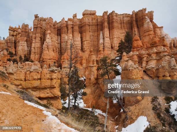 sandstone spires along the navajo loop trail at bryce canyon national park - pinnacle rock stock pictures, royalty-free photos & images