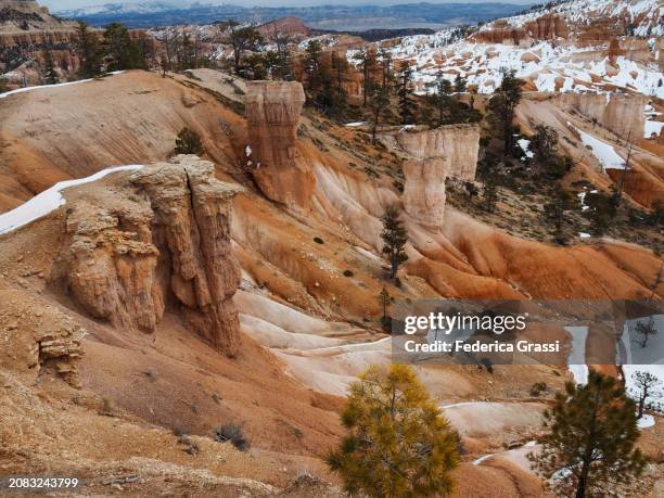 view along the rim trail, bryce canyon national park, utah - pinnacle rock stock pictures, royalty-free photos & images