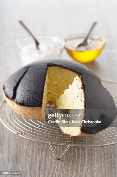 tourteau fromagé (traditional cheesecake made from goat's cream cheese, france) - domed tray photos et images de collection