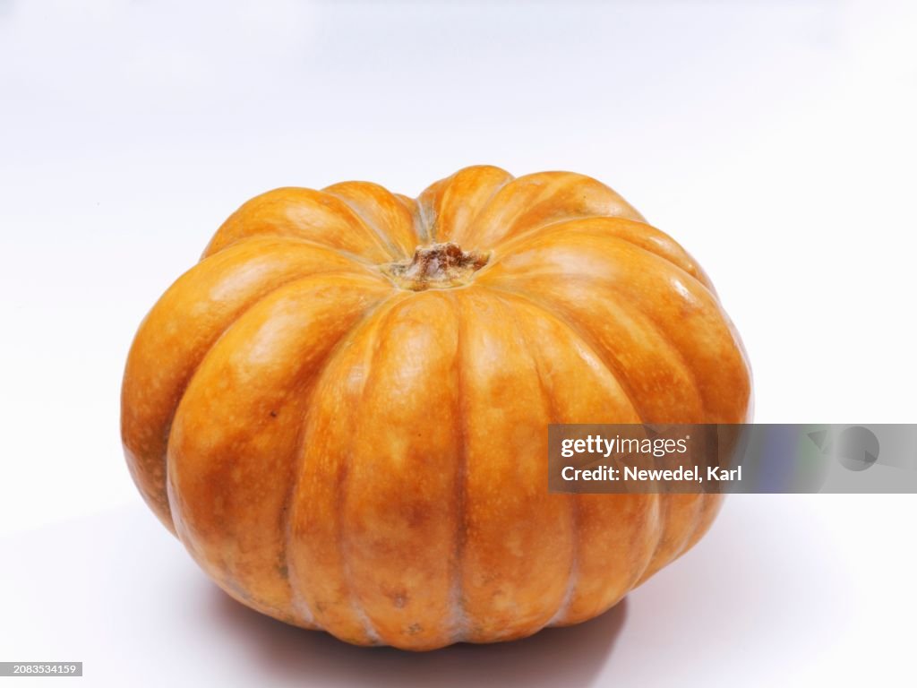 Pumpkin