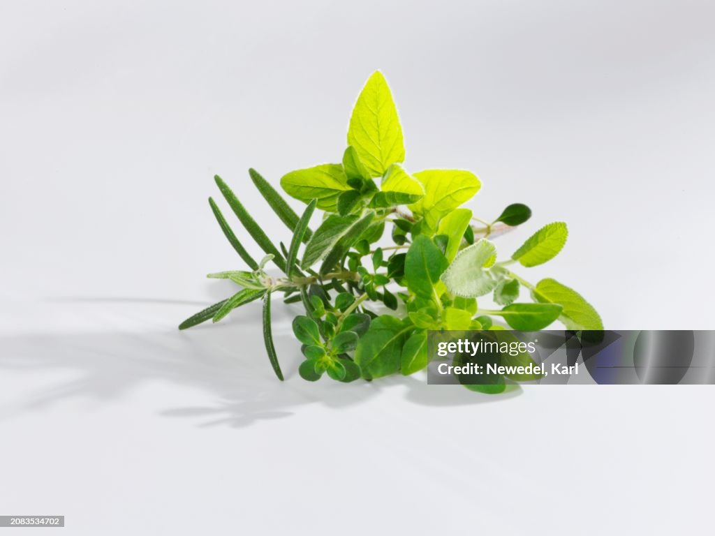 A bunch of herbs on a white surface